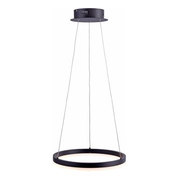 TAKLAMPE PAUL NEUHAUS 40CM ANTRASITT