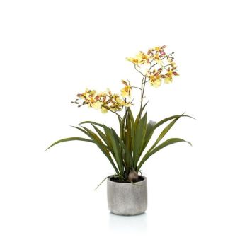 KUNSTIG PLANTE EMERALD SOMMERFUGLORKIDÉ I POTTE 45CM