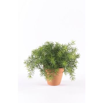 KUNSTIG PLANTE EMERALD ASPARGESBUSK GRØNN 20CM