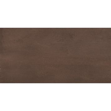 FLIS TIME BRUN 30X60CM 0.9M²/PK