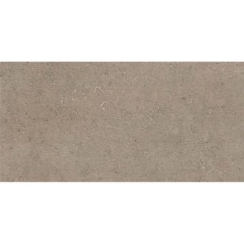 FLIS SEASTONE GREIGE MATT 30X60CM 1.26M²/PK