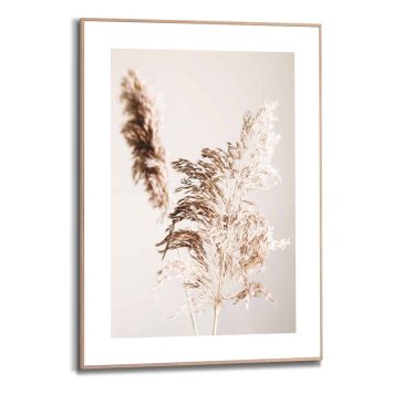 BILDE REINDERS SHADOW GRASS 50X70CM