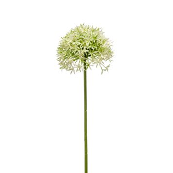 ALLIUM SPRAY EMERALD 62 CM KREM/GRØNN HVIT