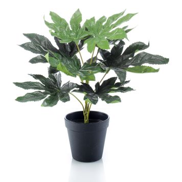 KUNSTIG PLANTE EMERALD ARALIA I POTTE 30CM