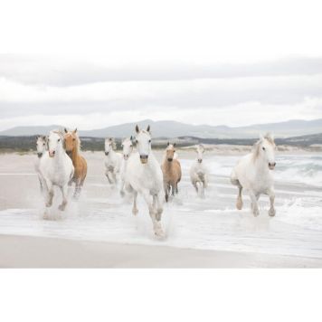 FOTOTAPET KOMAR WHITE HORSES