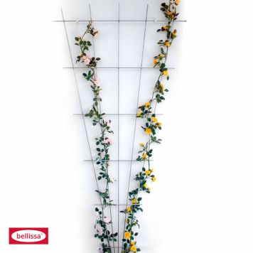 ESPALIER TIL ROSE BELLISSA 150X75 CM