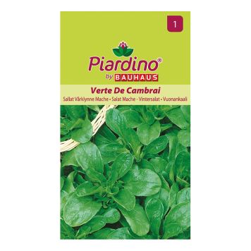 GRØNNSAKSFRØ PIARDINO SALAT MACHE VERTE