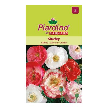 BLOMSTERFRØ PIARDINO VALMUE SHIRLEY