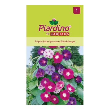 BLOMSTERFRØ PIARDINO IPOMOEA 