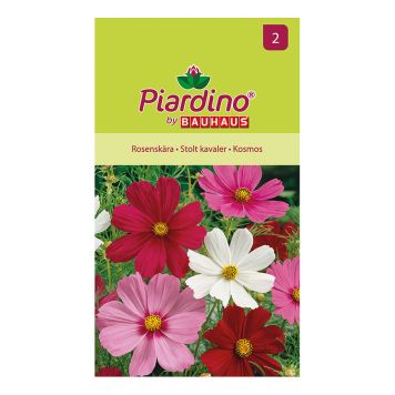 BLOMSTERFRØ PIARDINO KOSMOS