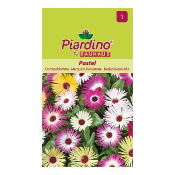 BLOMSTERFRØ PIARDINO DOROTEABLOMST