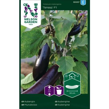 GRØNNSAKSFRØ NELSON GARDEN AUBERGINE TERESA F1