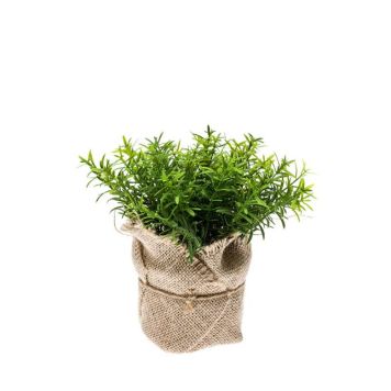 KUNSTIG PLANTE EMERALD TIMIAN I POTTE 16CM