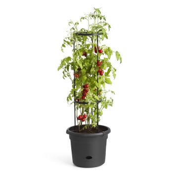 TOMATPOTTE ELHO GREEN BASICS Ø33CM