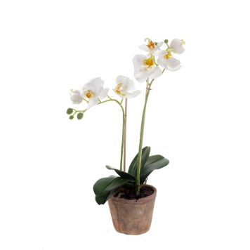 KUNSTIG PLANTE ORKIDÉ PHALAENOPSIS I POTTE HVIT 56CM