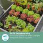 STARTSETT GARDENA MICRO-DRIP-SYSTEM PALLEKARMER 35 PLANTER