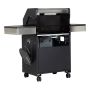 GASSGRILL KINGSTONE THERA 3B