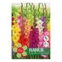 VÅRLØK GLADIOLUS MIX 10 STK