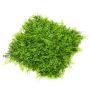 KUNSTIG PLANTE EMERALD FERN/JUNIPERUS-MATTE 50X50CM