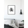 POSTER KOMAR  FEATHER WHITE 40 X 50 CM