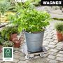 POTTETRALLE WAGNER MAXIGRIP TRE 29CM