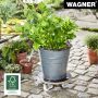 POTTETRALLE WAGNER MAXIGRIP TRE 27CM