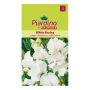 BLOMSTERFRØ PIARDINO ERTEBLOMST WHITE ENSING   