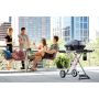 GASSGRILL NAPOLEON TRAVEL PRO285X