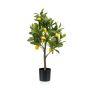 KUNSTIG PLANTE EMERALD SITRUSTRE 72 CM