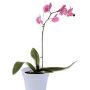 PLANTEPOTTE ELHO GREEN BASICS ORCHID 15 CM FROSTET