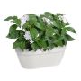 VEGGPOTTE ELHO CAMPANA WALL BASKET 35CM HVIT