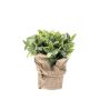 KUNSTIG PLANTE MYNTE JUTE 19CM