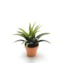 KUNSTIG PLANTE AGAVE I POTTE 11CM