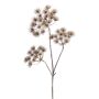 HERACLEUM EMERALD KUNSTIG 102 CM BRUN