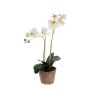 KUNSTIG PLANTE ORKIDÉ PHALAENOPSIS I POTTE HVIT 56CM